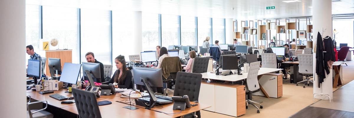 Employees work in an office.