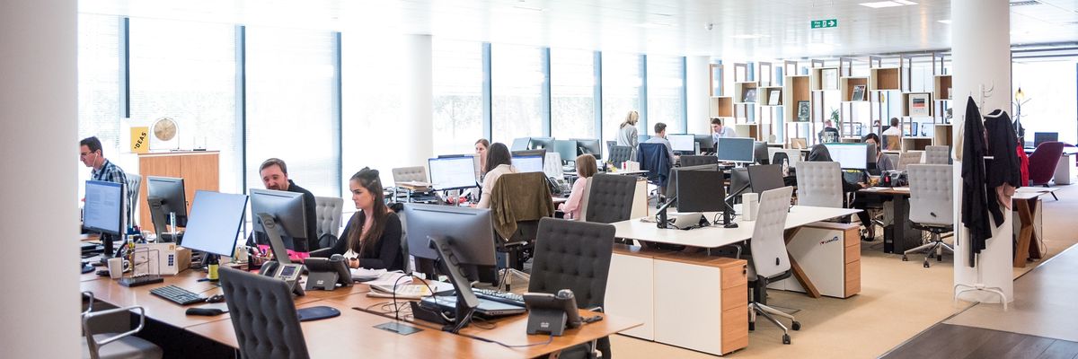 Employees work in an office.