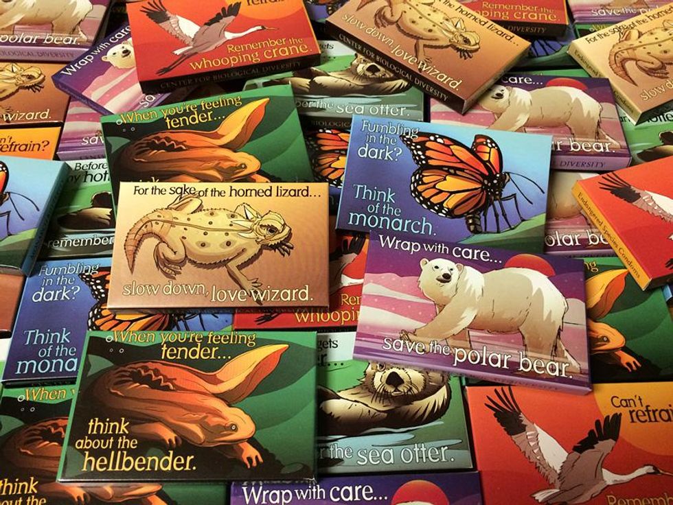 Endangered species condoms