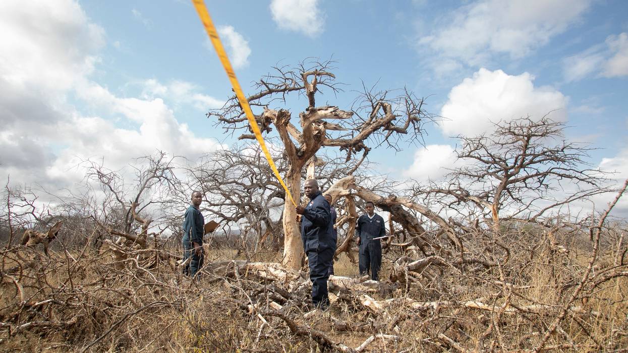 Environment technicians gather on a sample plot