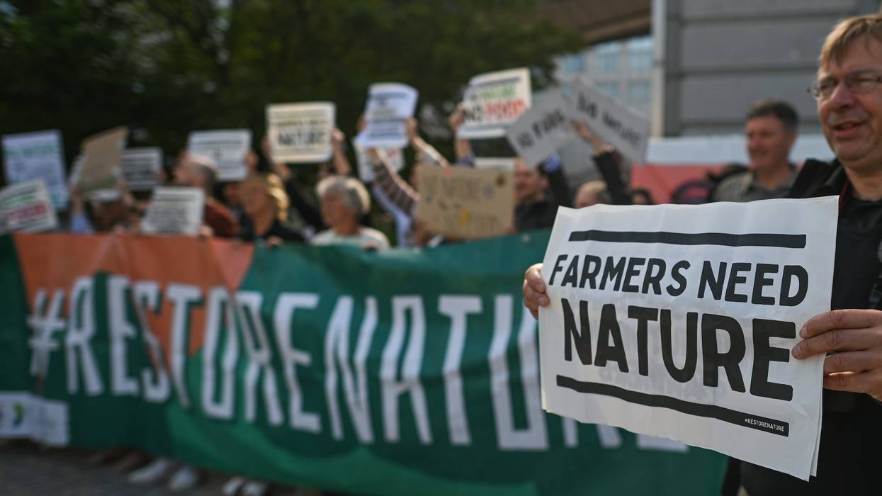 Environmental activists protest in Brussels