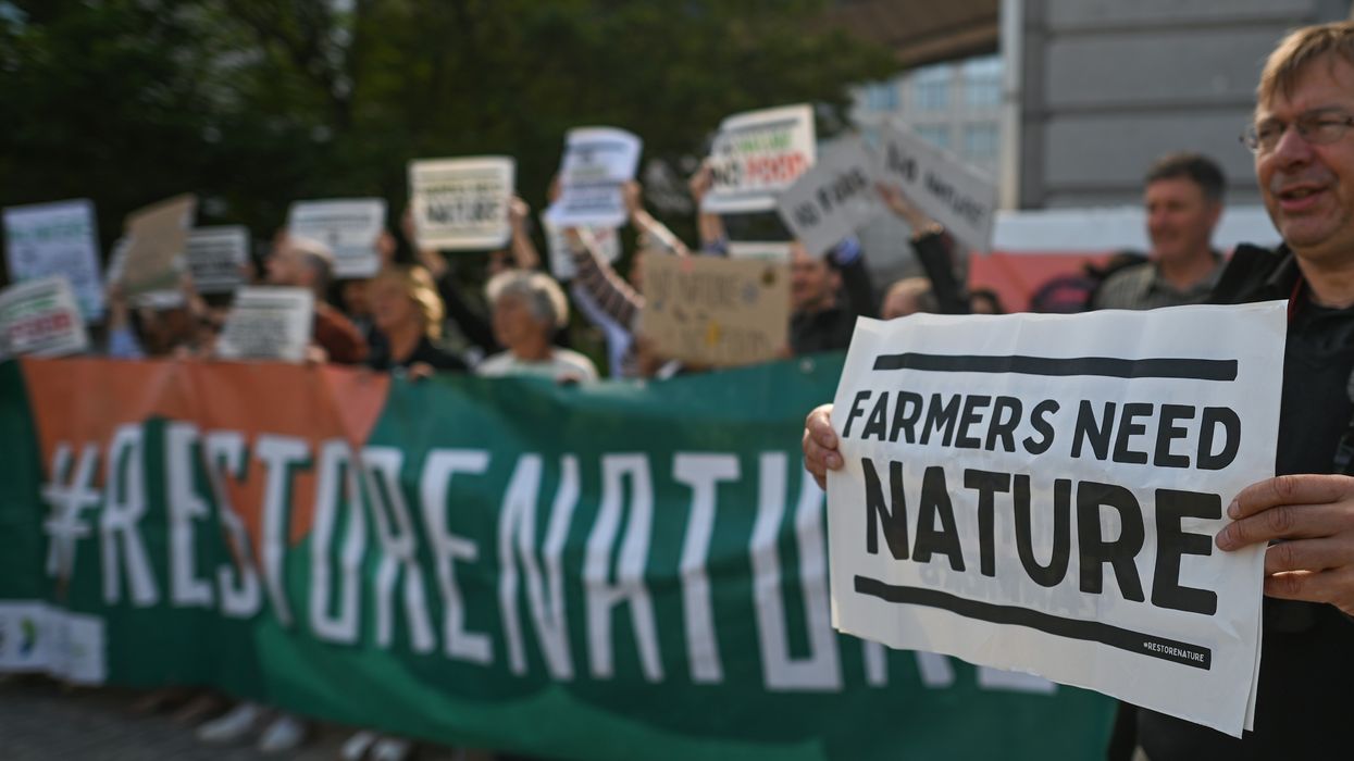 Environmental activists protest in Brussels