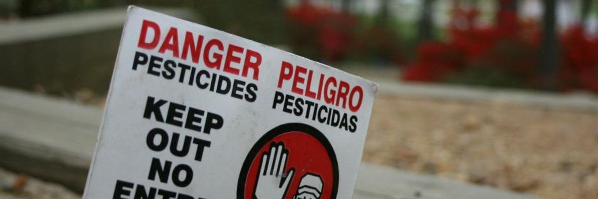 'Outrage' Follows USDA's Advancement of New Genetically Engineered Crops