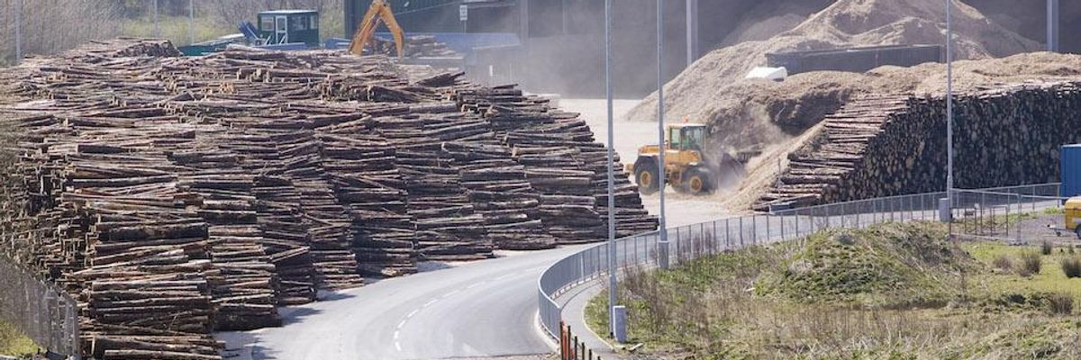 500+ Scientists Demand Stop to Tree Burning as Climate Solution