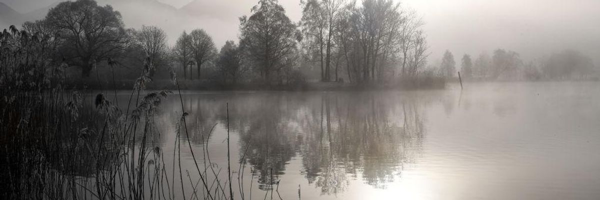 Four Ways to Find Equanimity When the News Is Overwhelming