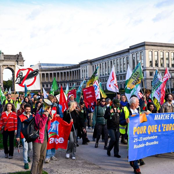 European activists march against deregulation in Brussels