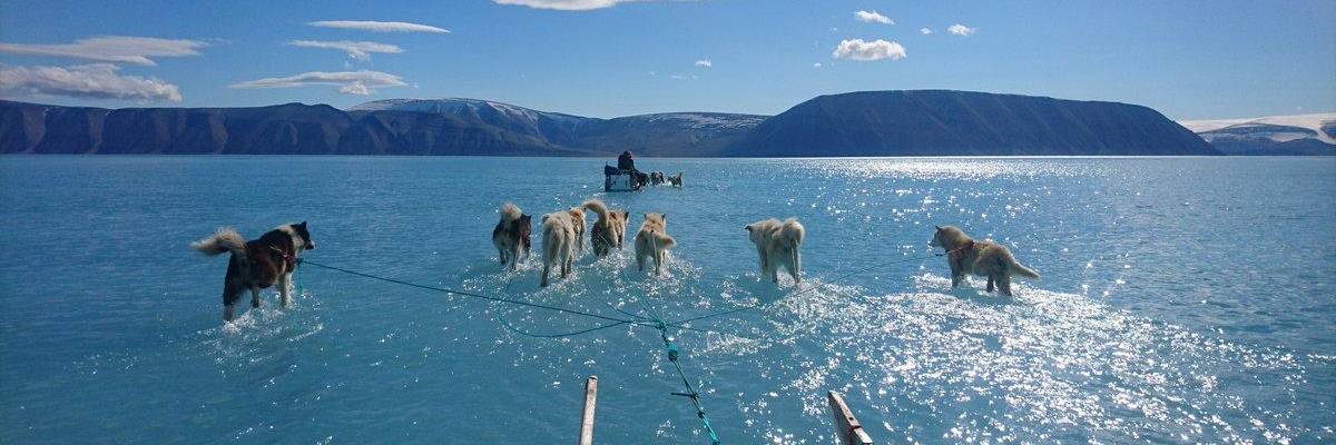 Arctic Warming & Climate Change 'Should Be the Number One Urgent Conversation Right Now'