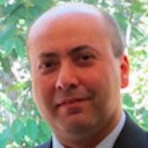 S. A. Hamed Hosseini