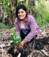Ysabel A. Calderón Carlos