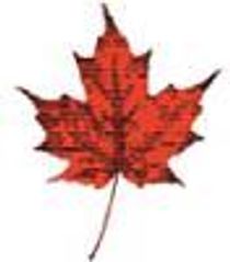 Council Of Canadians