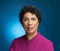 Susan N. Herman