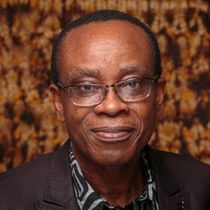 Nnimmo Bassey