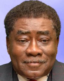Rev. Leo Woodberry