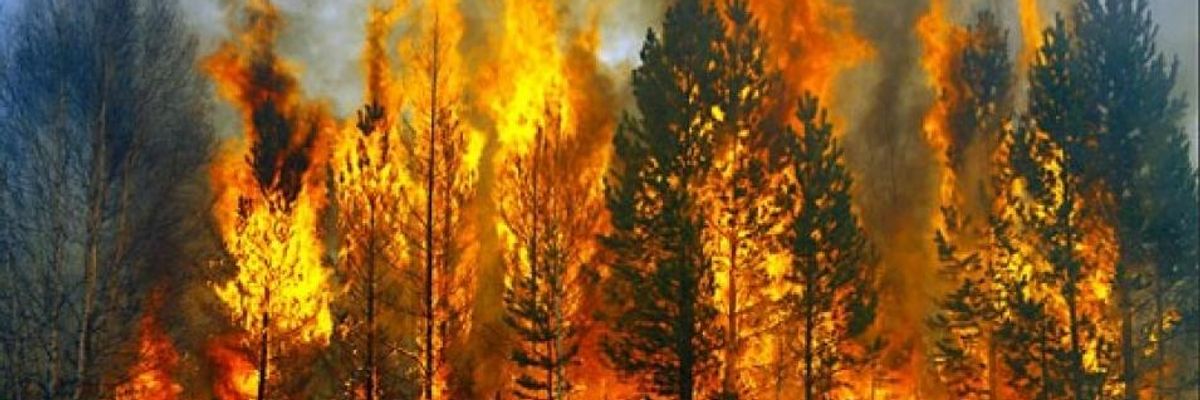 To Protect Our Planet and Revitalize Our Economy, We Need a Climate Conservation Corps