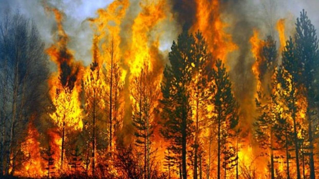 To Protect Our Planet and Revitalize Our Economy, We Need a Climate Conservation Corps