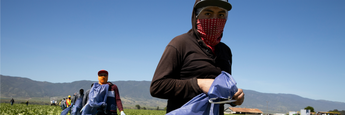 'Utterly Arbitrary and Unlawful': Farmworker Groups Sue to Block Trump Wage Freeze
