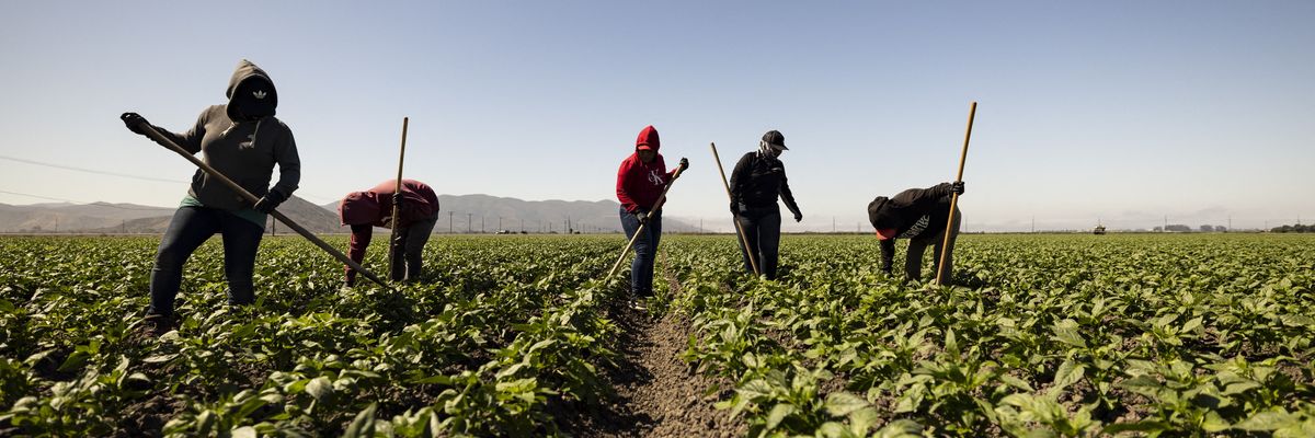 farm workers in California during heatwave