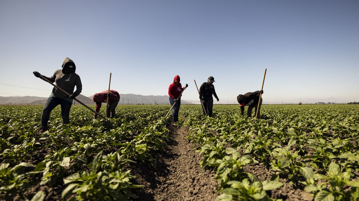 farm workers in California during heatwave