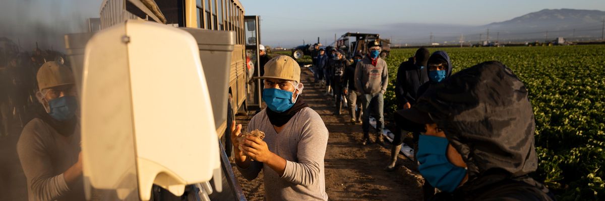 Farm workers in California