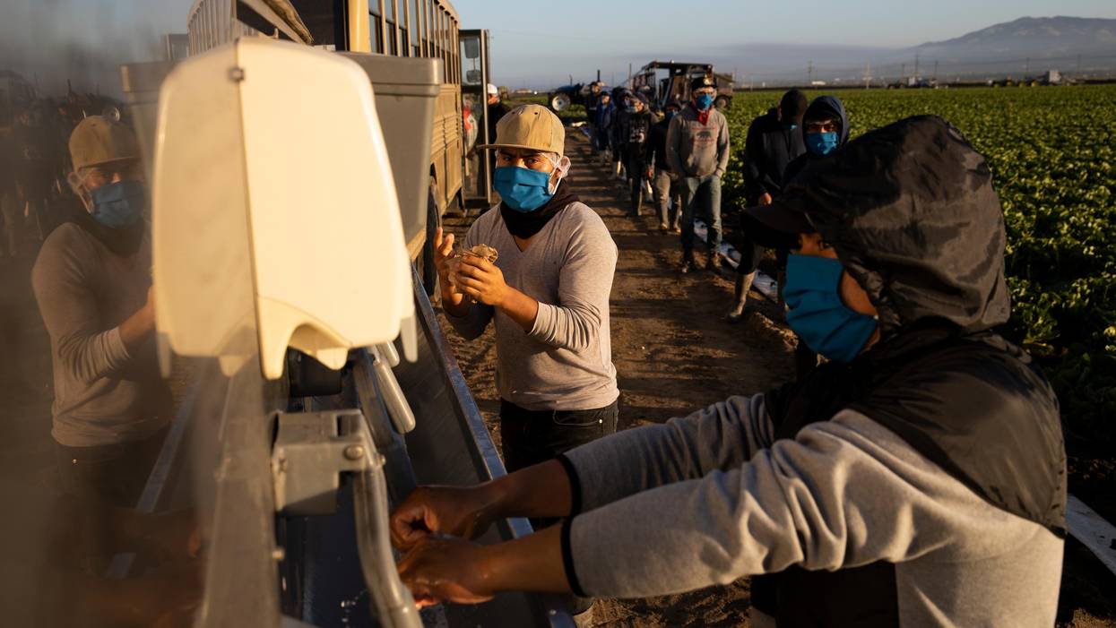 Farm workers in California