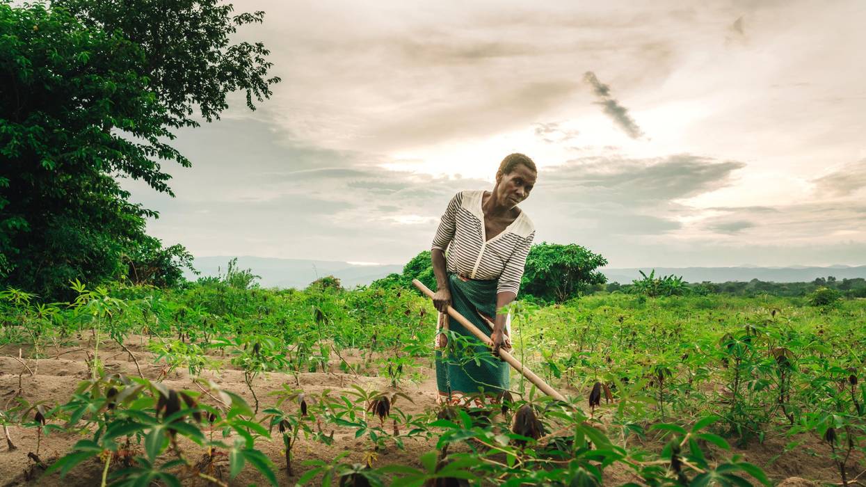 farmer_africa