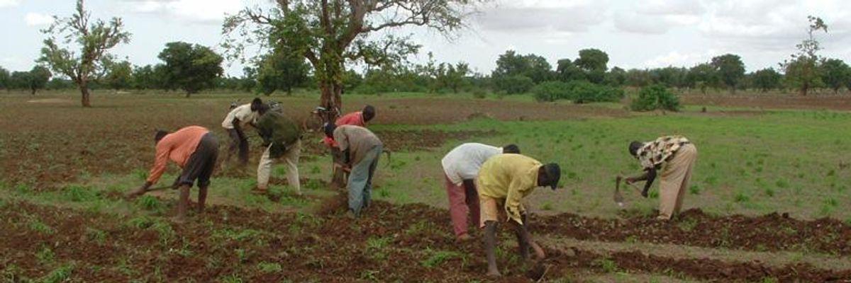 When Losing Your Soil Means Losing Your Livelihood