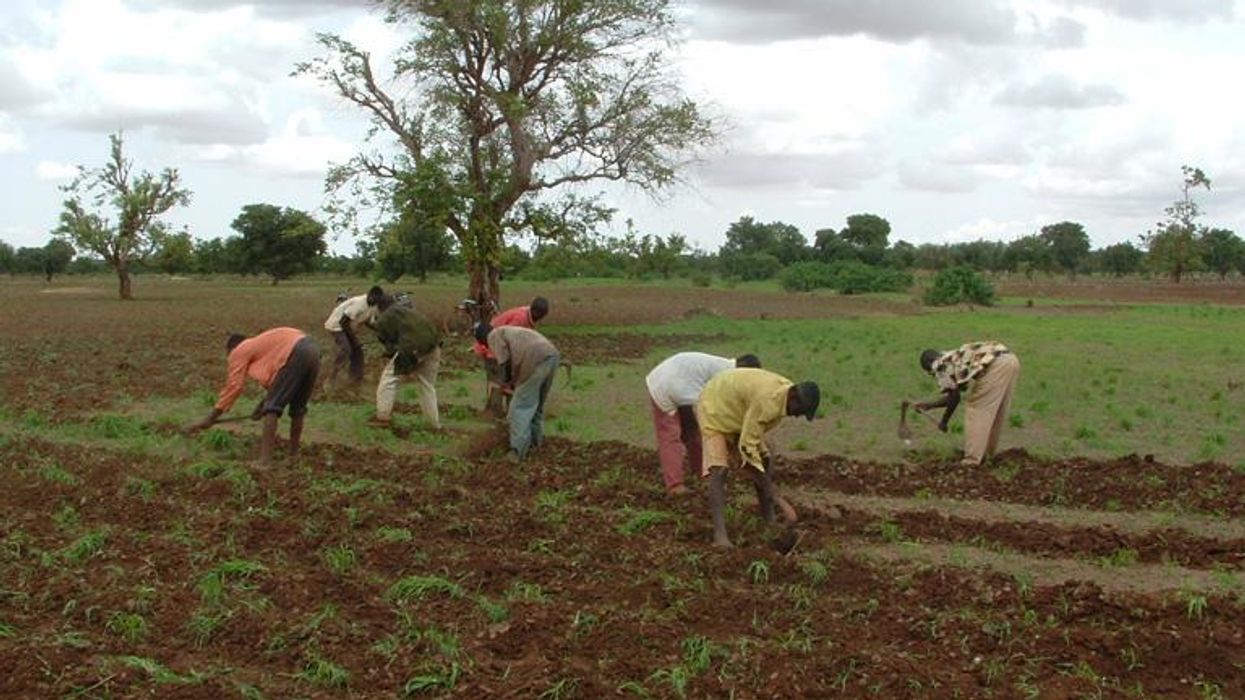 When Losing Your Soil Means Losing Your Livelihood