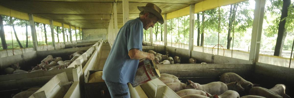 Farmers in the city of Tangua, Rio de Janeiro
