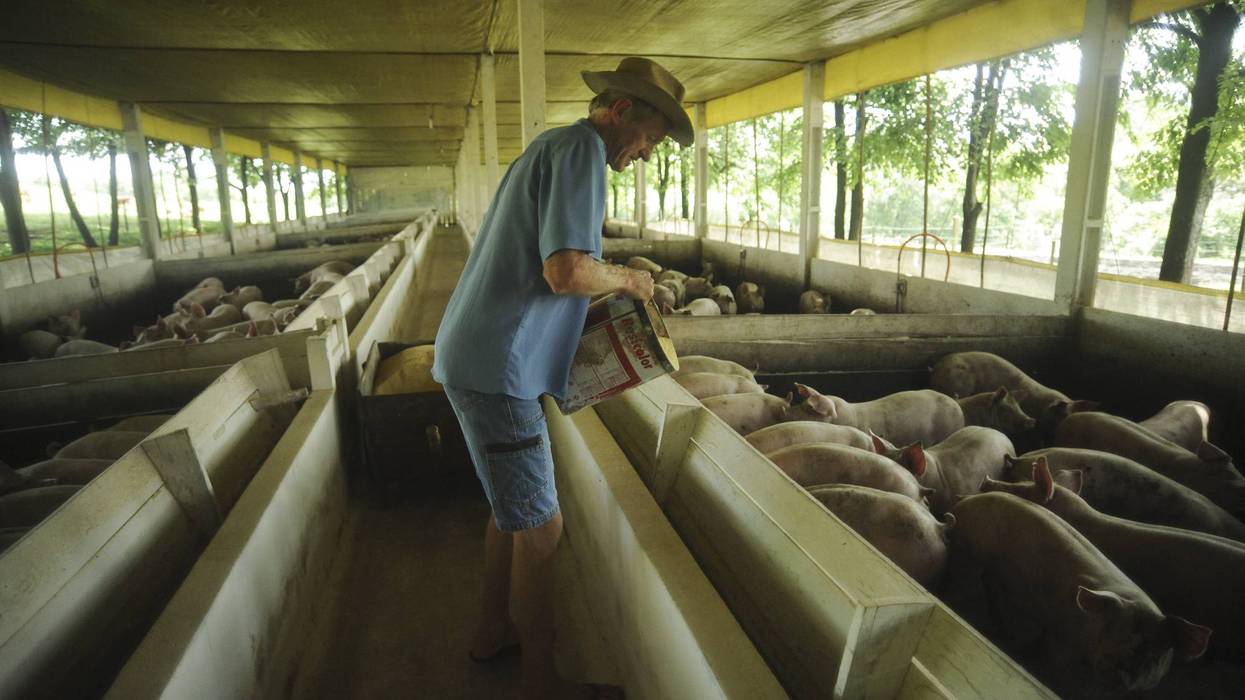 Farmers in the city of Tangua, Rio de Janeiro