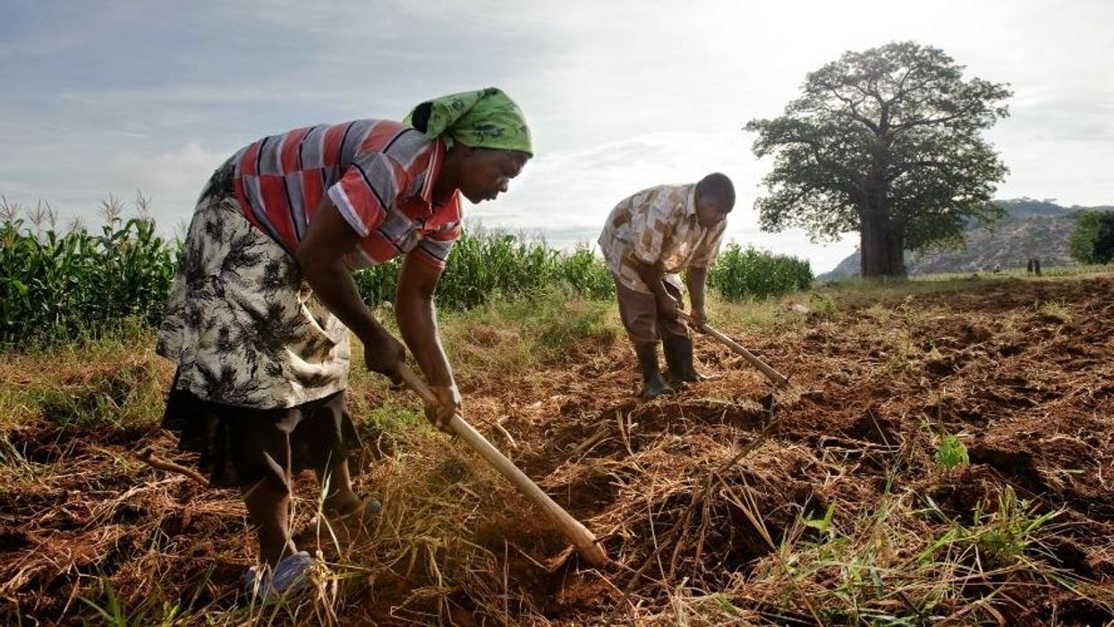 Replacing Hunger with Malnutrition