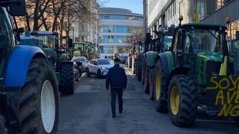 Farmers protest with tractors.