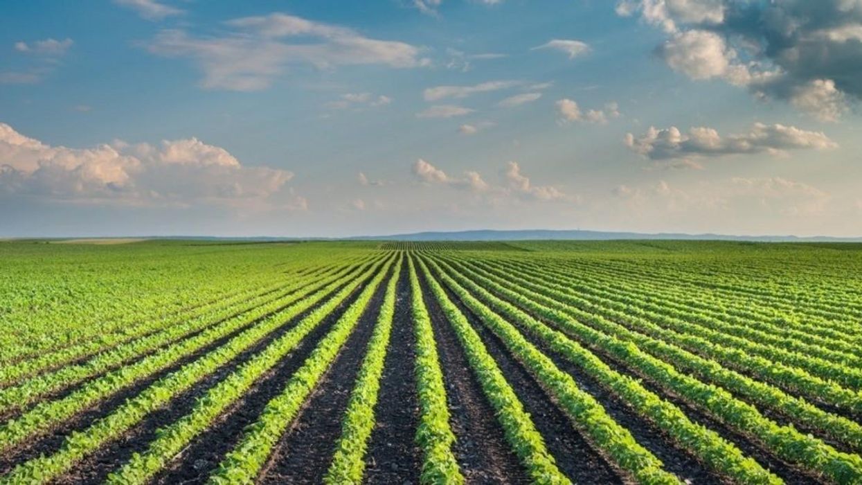 farms