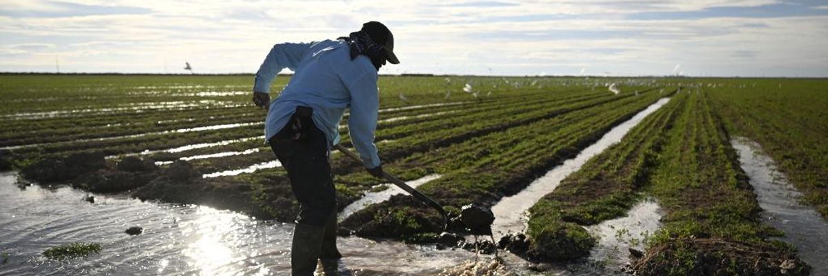 Farmworker Adrian Gonzalez irrigates a field of newly planted alfalfa on December 29, 2022 in Calipatria, California.