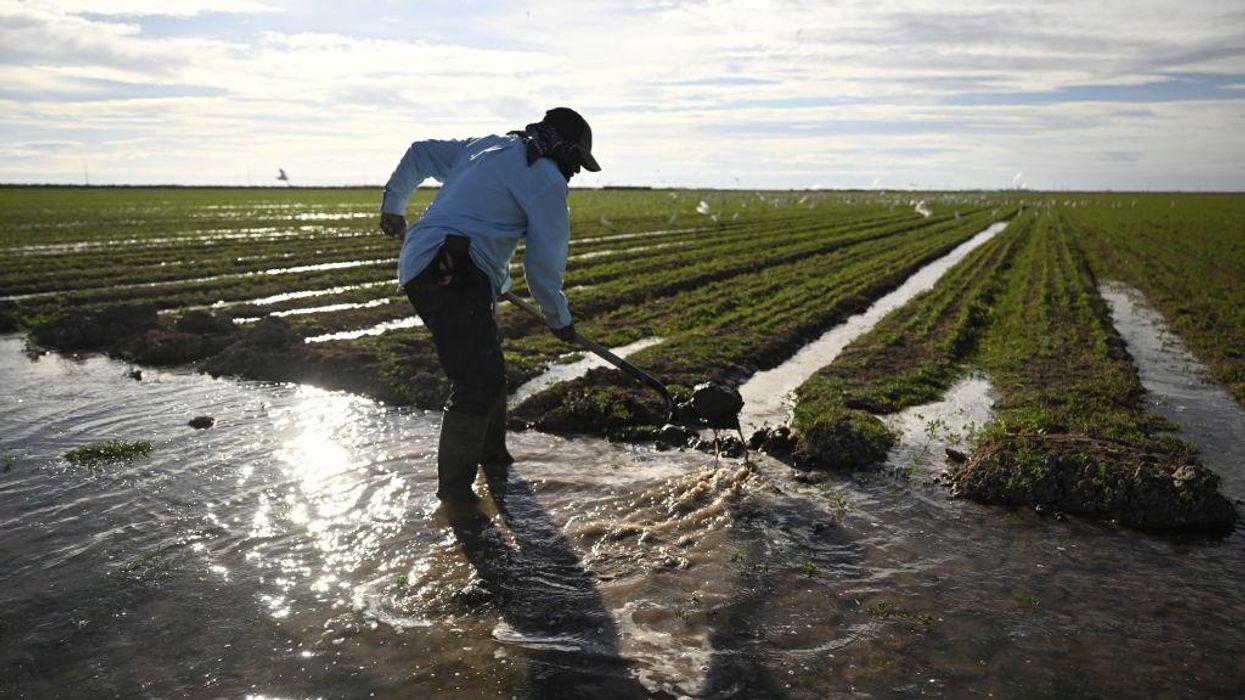 Farmworker Adrian Gonzalez irrigates a field of newly planted alfalfa on December 29, 2022 in Calipatria, California.