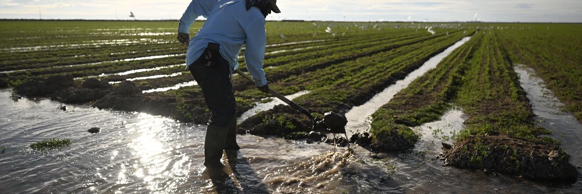Farmworker Adrian Gonzalez irrigates a field of newly planted alfalfa on December 29, 2022 in Calipatria, California.