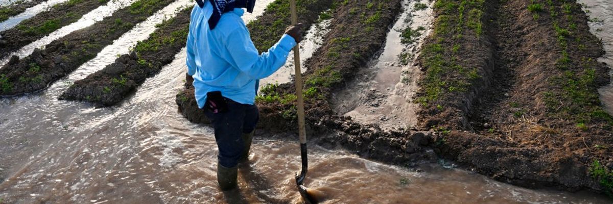 Farmworker Adrian Gonzalez irrigates a field of newly planted alfalfa on December 29, 2022 in Calipatria, California.