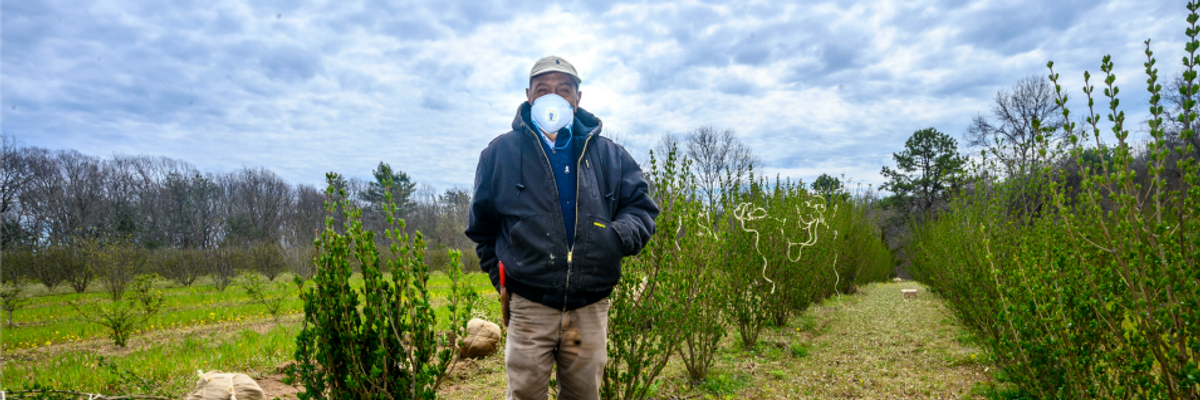 USDA's $19 Billion in COVID-19 Relief for Farmers and Food Banks Sparks Questions About Who Will Benefit