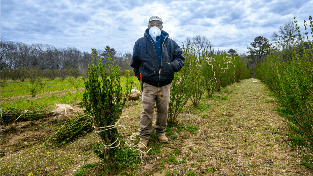 USDA's $19 Billion in COVID-19 Relief for Farmers and Food Banks Sparks Questions About Who Will Benefit