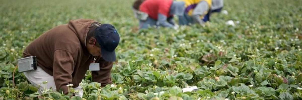 An Anti-Trust Reboot Could Give Democrats Traction in Rural America