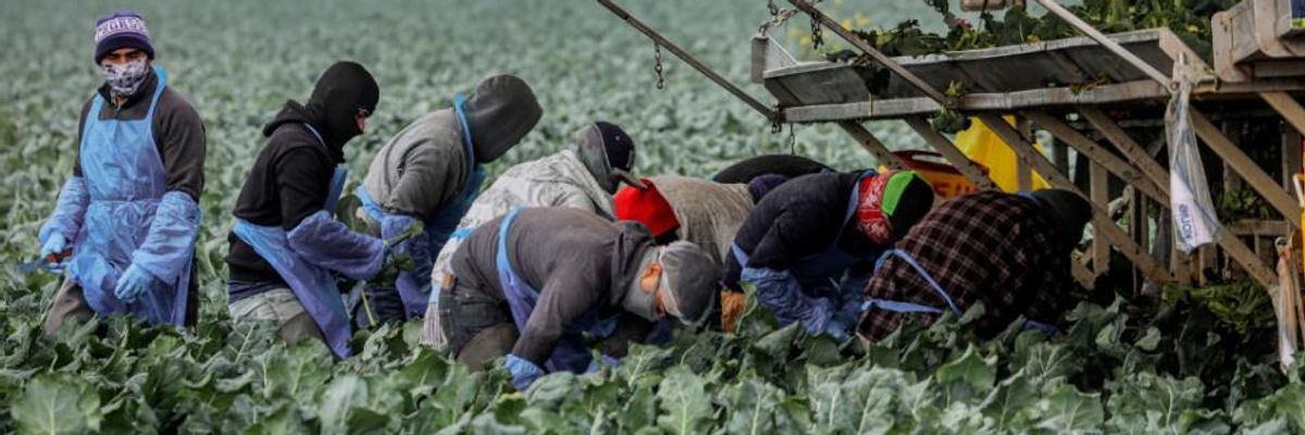 After Enduring "Complete Hell" During Pandemic, Food Workers Face Obstacles Getting Covid-19 Vaccinations