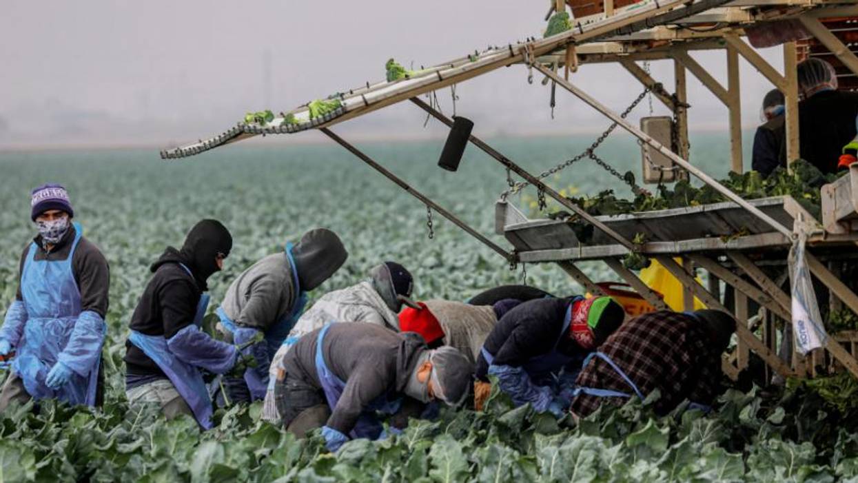 After Enduring "Complete Hell" During Pandemic, Food Workers Face Obstacles Getting Covid-19 Vaccinations