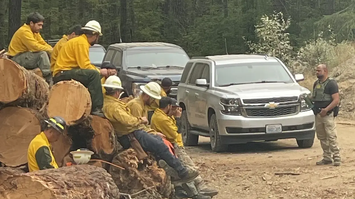 'Fundamentally Sick': Trump Border Agents Arrest Two Firefighters Battling Washington Wildfire
