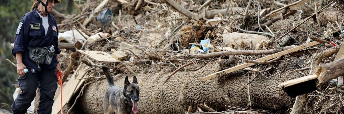 FEMA worker and dog search for survivors of Hurricane Helene