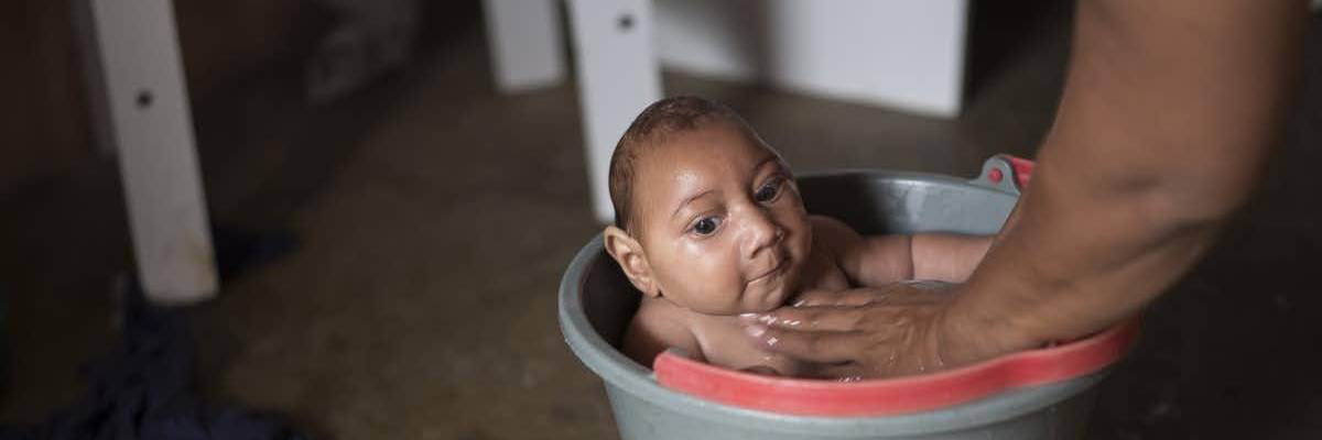 Trump Administration Ban on NIH Use of Fetal Tissue Should Worry All Scientists