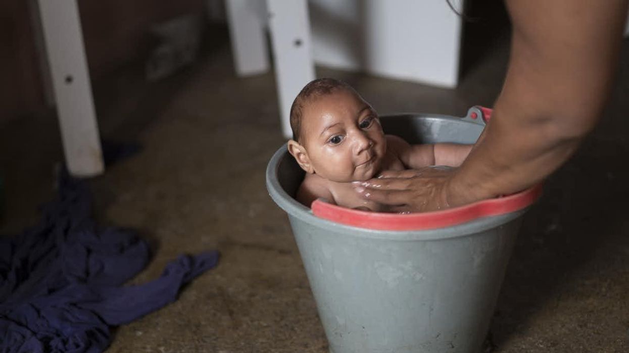 Trump Administration Ban on NIH Use of Fetal Tissue Should Worry All Scientists