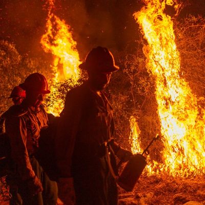 Fightfighters walking away from backfire they set