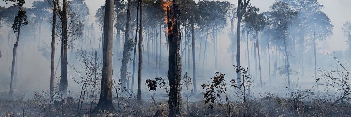 No Blank Check for Enemies of the Environment in Brazil