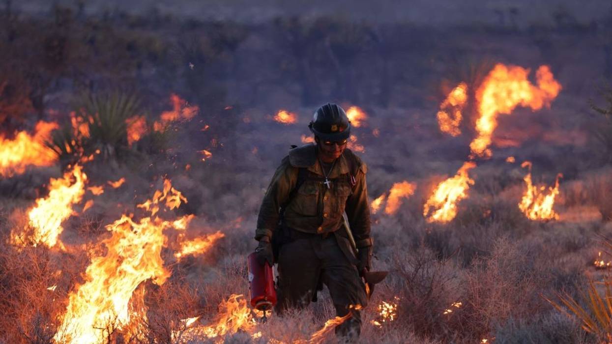 Firefighter among burning grass in Mojave National Preserve