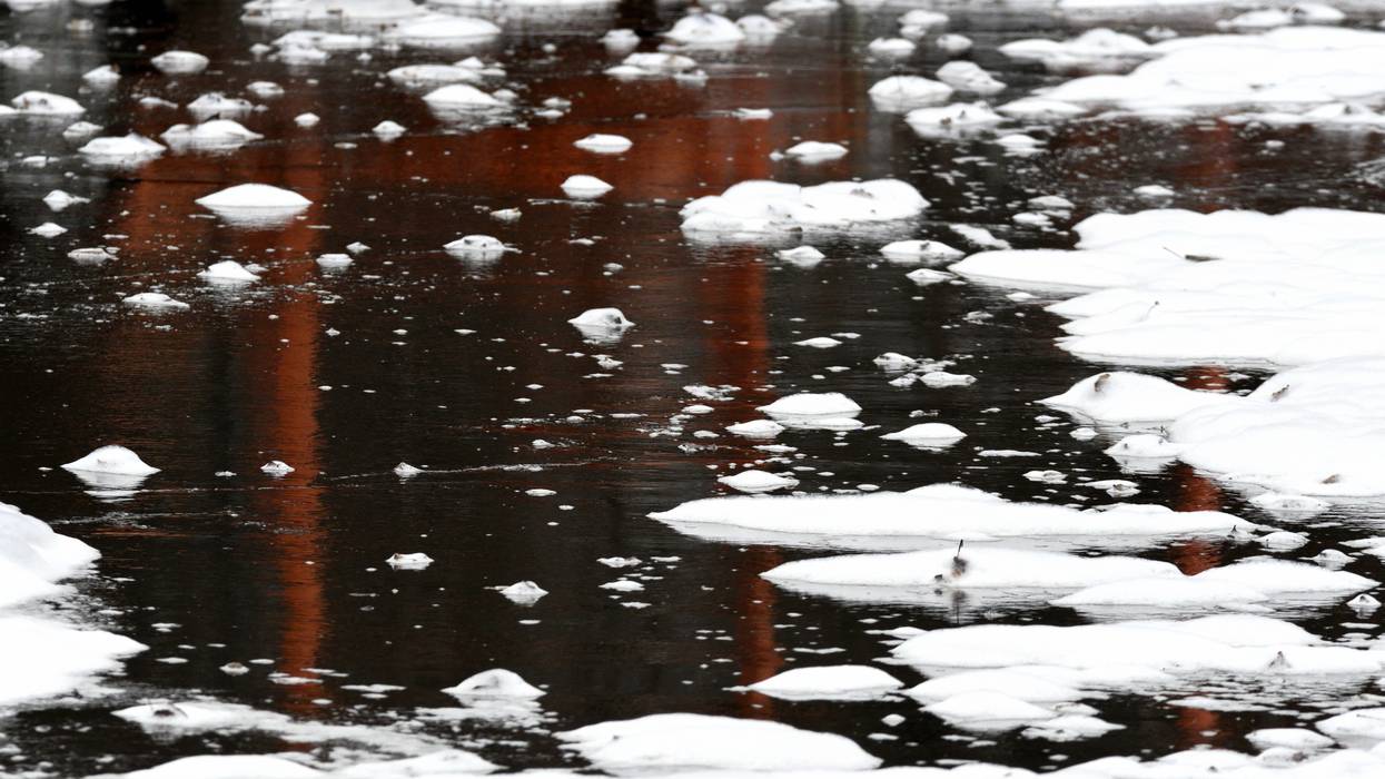 Firefighter foam is seen on the surface of water in Bensalem Township, Pennsylvania.