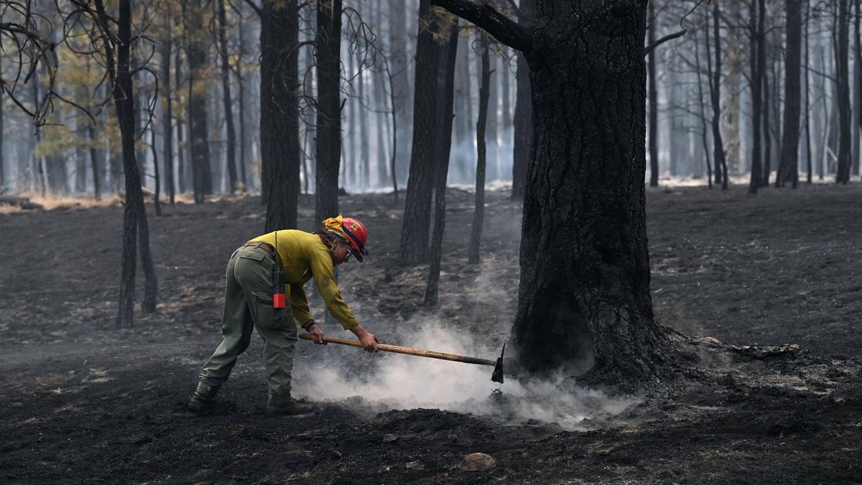 firefighter_newmexico